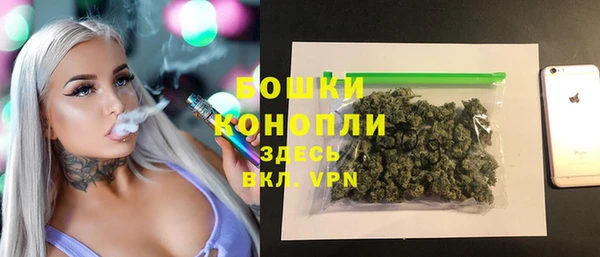 ГАЛЛЮЦИНОГЕННЫЕ ГРИБЫ Баксан