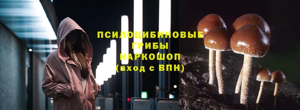 ГАЛЛЮЦИНОГЕННЫЕ ГРИБЫ Баксан