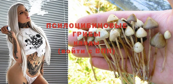 ГАЛЛЮЦИНОГЕННЫЕ ГРИБЫ Баксан