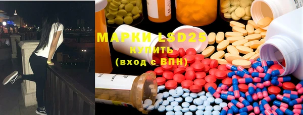 ГАЛЛЮЦИНОГЕННЫЕ ГРИБЫ Баксан